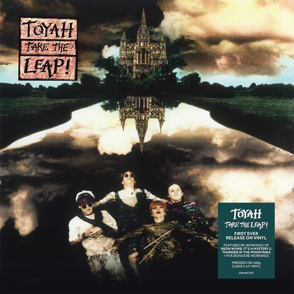Take The Leap Plus [180-Gram Clear Vinyl] Vinyl Record