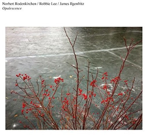 Rodenkirchen,norbert / Lee,robbie - Opalescence - Music CD