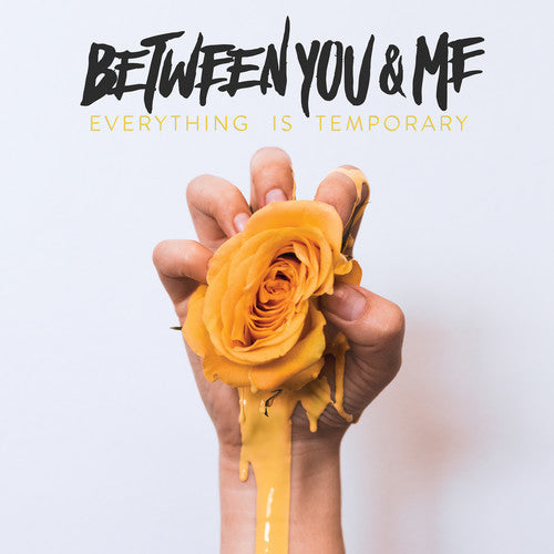 Between You & Me - Everything Is Temporary [Download Included] Vinyl Record