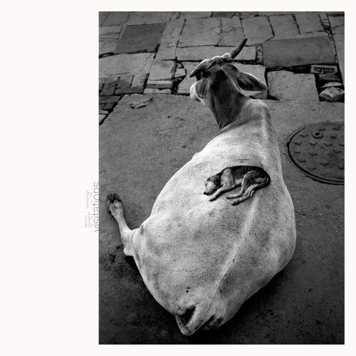 Leo Abrahams - Visitations Vinyl Record