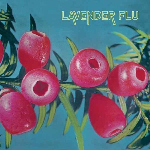 Lavender Flu - Mow The Glass [LP] Vinyl Record