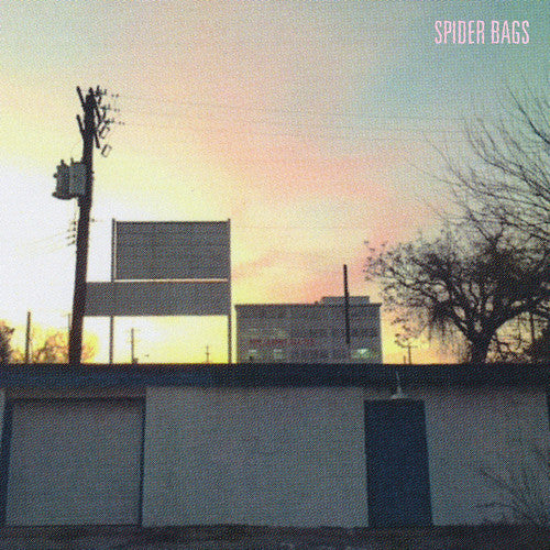 Someday Everything Will Be Fine [LP] Vinyl Record