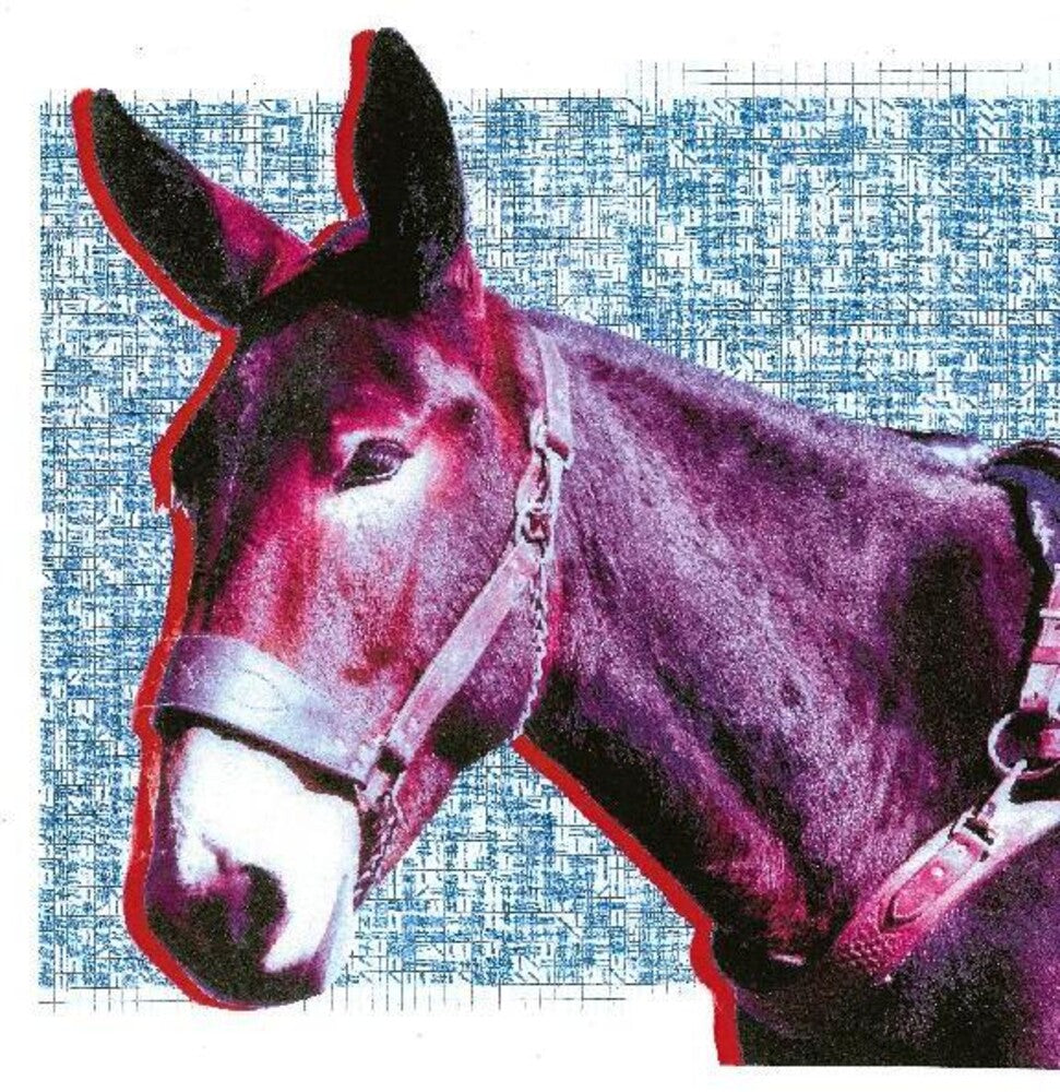 Protomartyr - Ultimate Success Today [LP] Vinyl Record