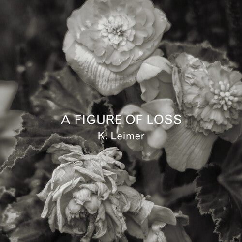 Leimer,k. - Figure Of Loss - Music CD