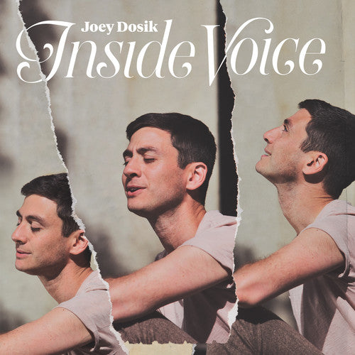 the album cover for Joey Dosik - Inside Voice