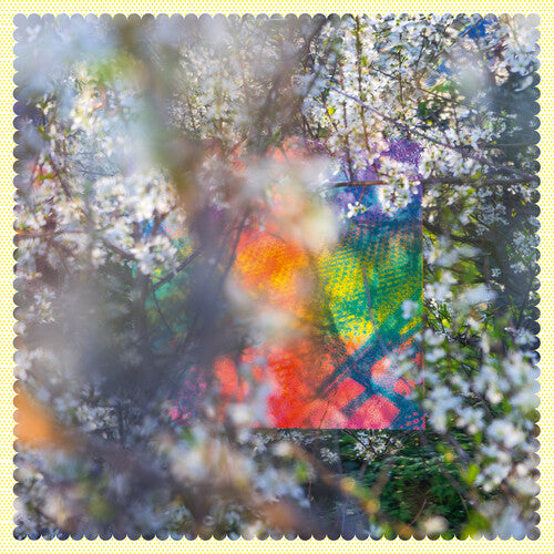 Four Tet - Sixteen Oceans - Vinyl Record