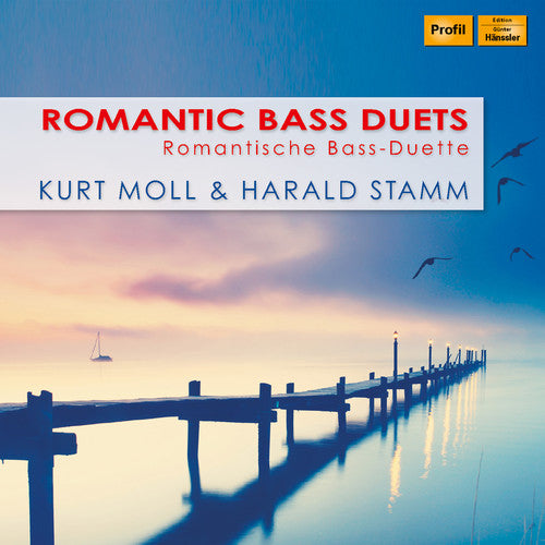 the album cover for Dvorak / Stamm / Grunelius - Romantic Bass Duets