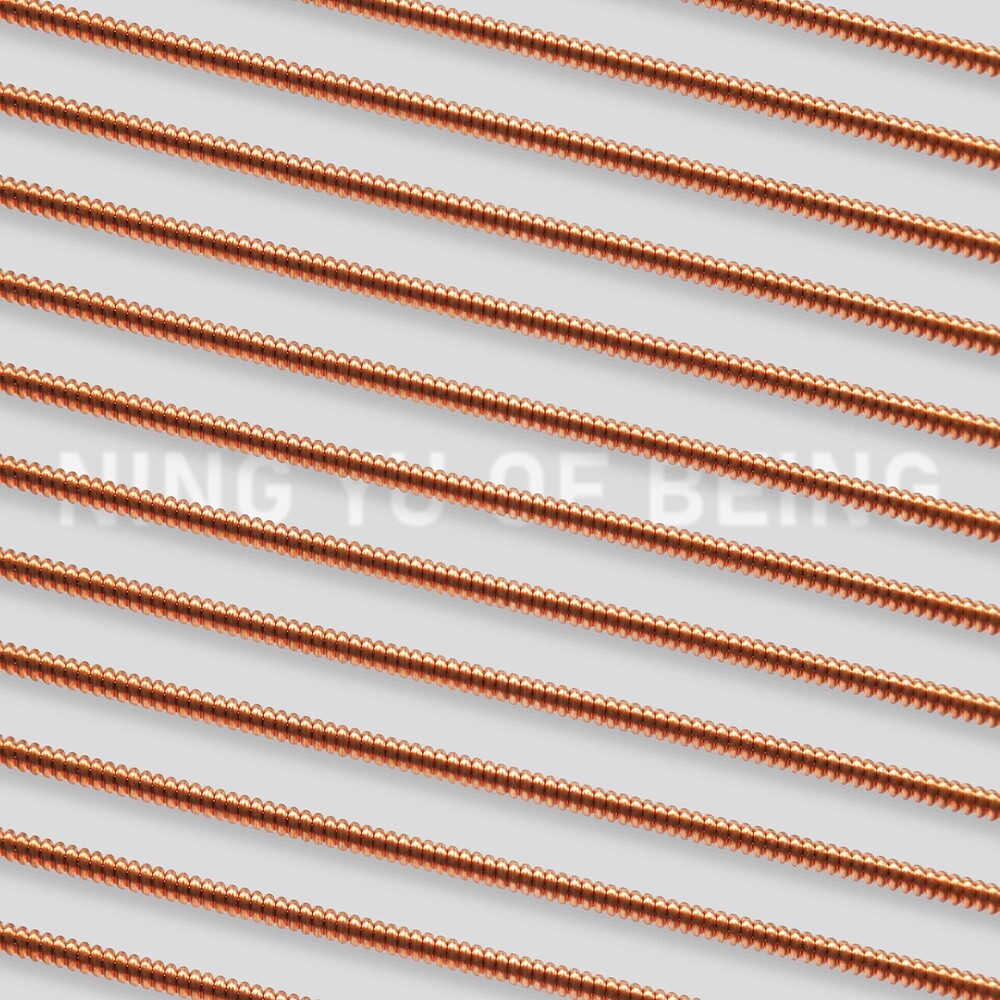 the album cover for Lu / Yu - Of Being