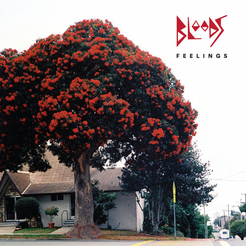 Bloods - Feelings - Music CD