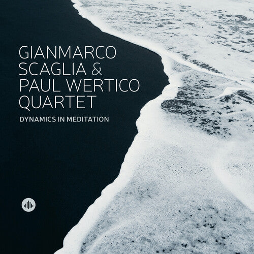 Dynamics In Meditation / Various - Dynamics In Meditation - Music CD