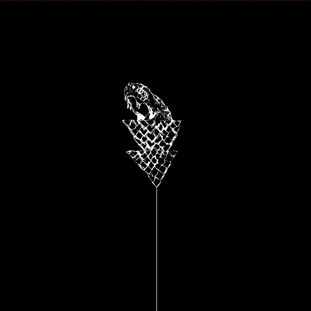 Wetware - Flail [LP] Vinyl Record