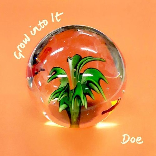 Doe - Grow Into It - Vinyl Record