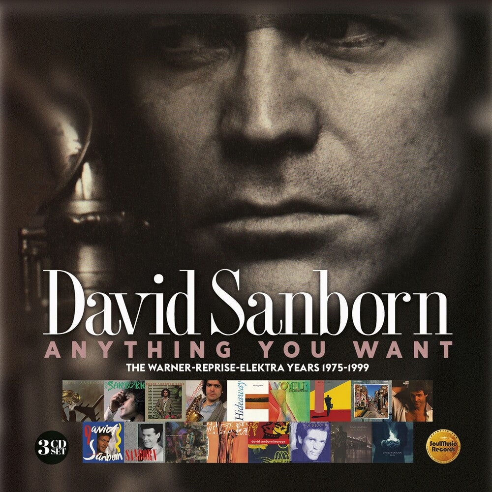 the album cover for David Sanborn - Anything You Want: Warner / Reprise / Elektra Years (1975-1999)
