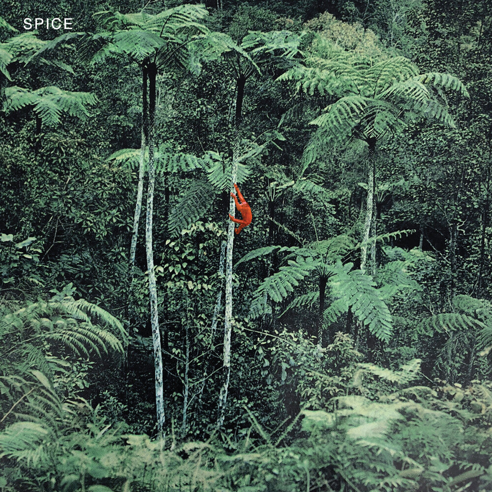 the album cover for Spice - Spice