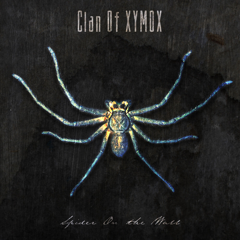 Spider On The Wall Music CD
