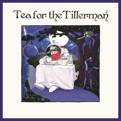 Yusuf (Cat Stevens) - Tea For The Tillerman 2 Vinyl Record
