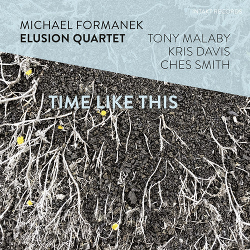 Formanek,michael - Time Like This - Music CD