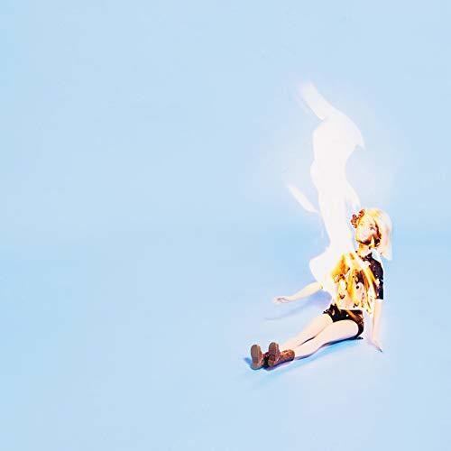 Well Wisher - This Is Fine - Music CD