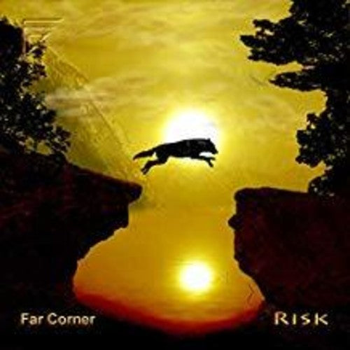 the album cover for Far Corner - Risk