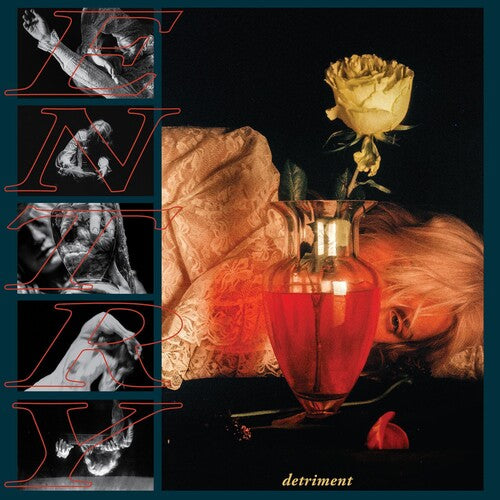Entry - Detriment Vinyl Record