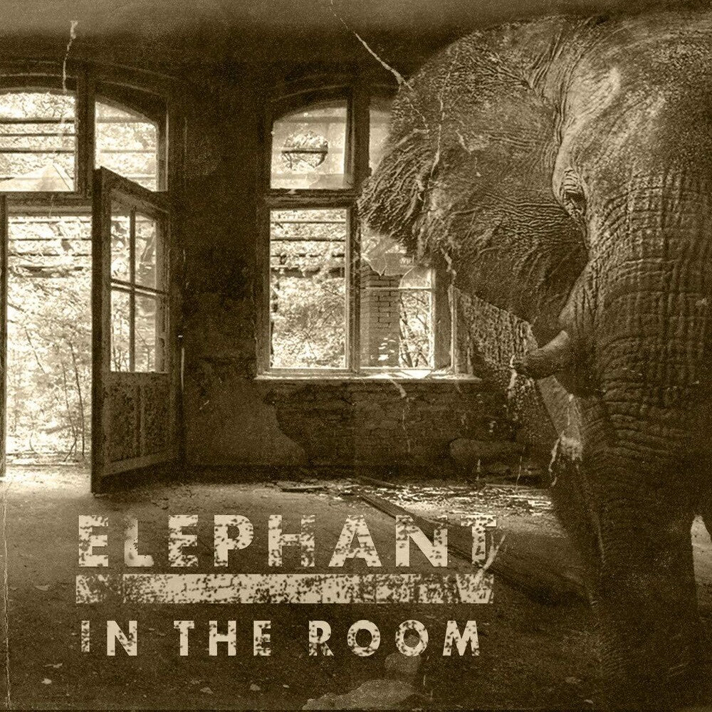 Elephant In The Room [LP] Vinyl Record