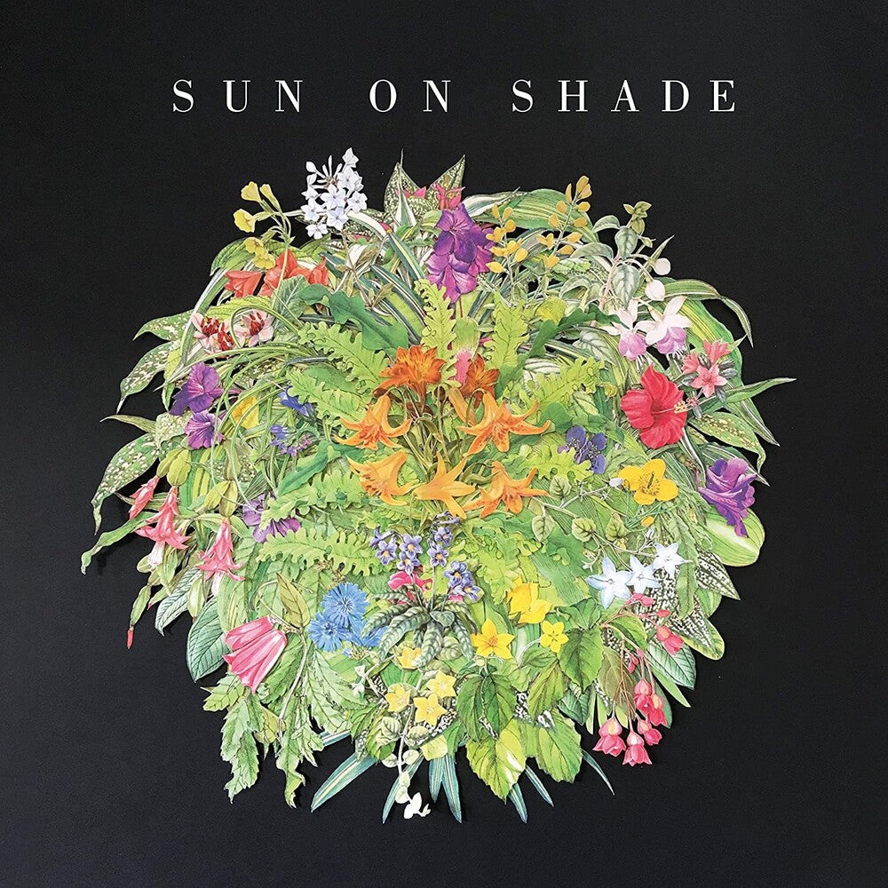 Sun On Shade [LP] Vinyl Record