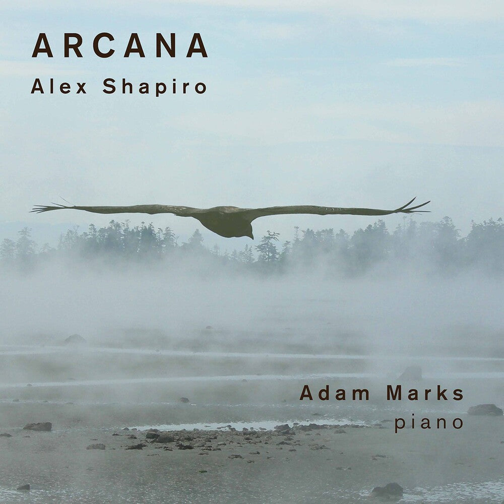 the album cover for Shapiro / Marks - Arcana