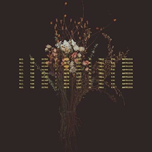 All The Hours I Have Left To Tell You Anything [LP] Vinyl Record