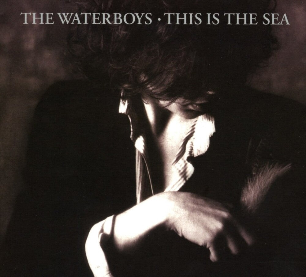 the album cover for The Waterboys - This Is The Sea: Collectors Edition [Import]