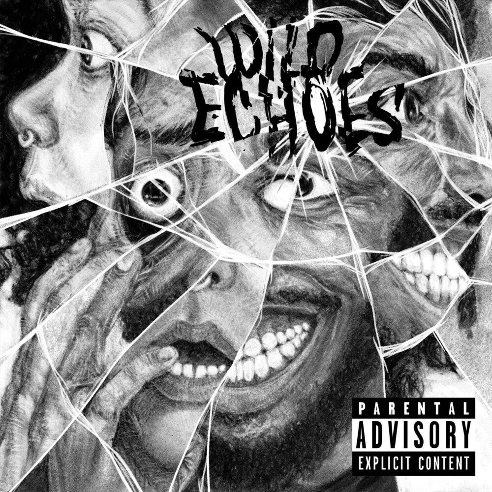 Wild Echoes [LP] Vinyl Record