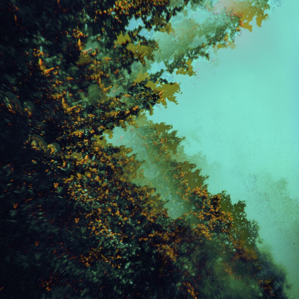 the album cover for Polymoon - Caterpillars Of Creation