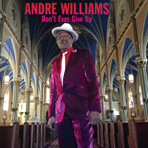 Andre Williams - Dont Ever Give Up Vinyl Record