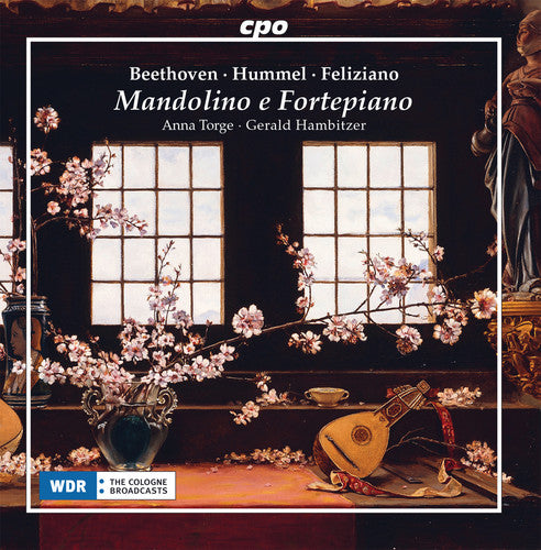 Beethoven / Torge / Hambitzer - Mandolino E Fortepiano - Music CD