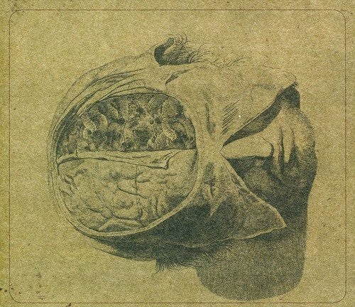 Farsot - Insects Vinyl Record