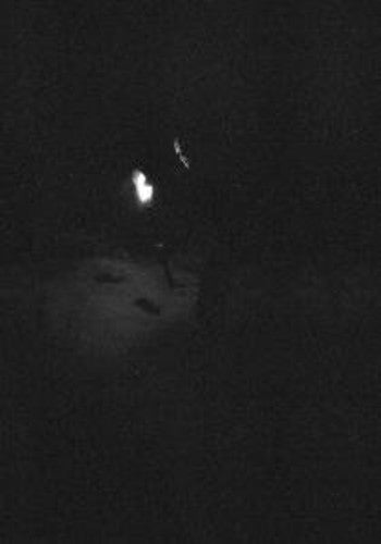 the album cover for Paysage D'hiver - Nacht [Digipak]