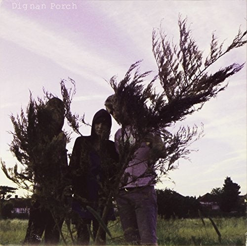 Dignan Porch - On A Ride - Vinyl Record