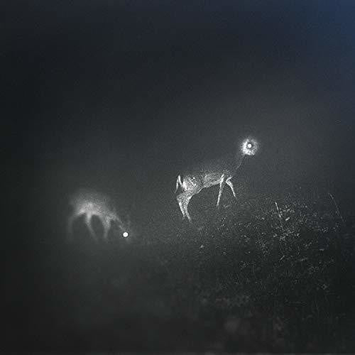 Bliss Signal - Bliss Signal [Limited Edition] Vinyl Record