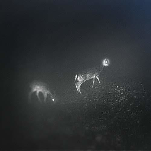 Bliss Signal [Limited Edition] Vinyl Record