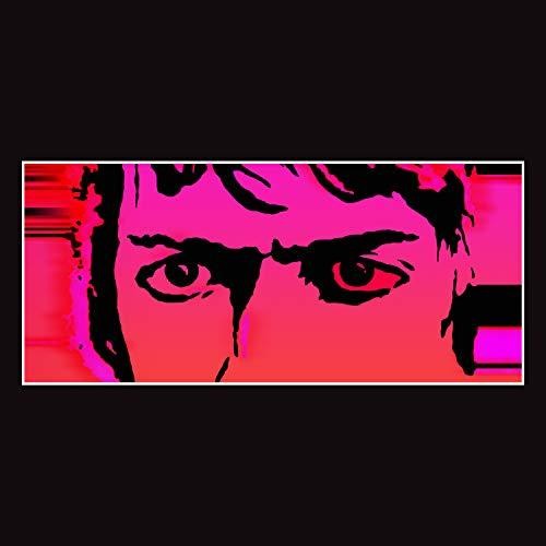 Delicate Steve - Till I Burn Up Vinyl Record