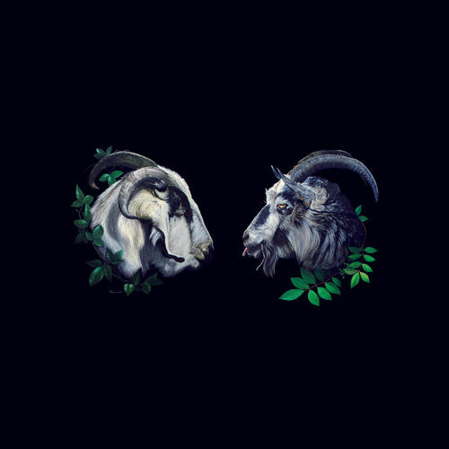 Dbuk - Songs Nine Through Sixteen Vinyl Record