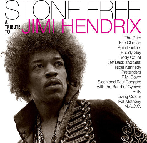 Jimmy Tribute Hendrix - Stone Free: Jimi Hendrix Tribute Vinyl Record