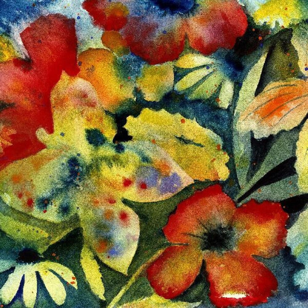 Adrianne Lenker - Songs And Instrumentals [CD] Music CD