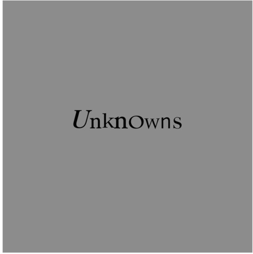 The Dead C - Unknowns Vinyl Record