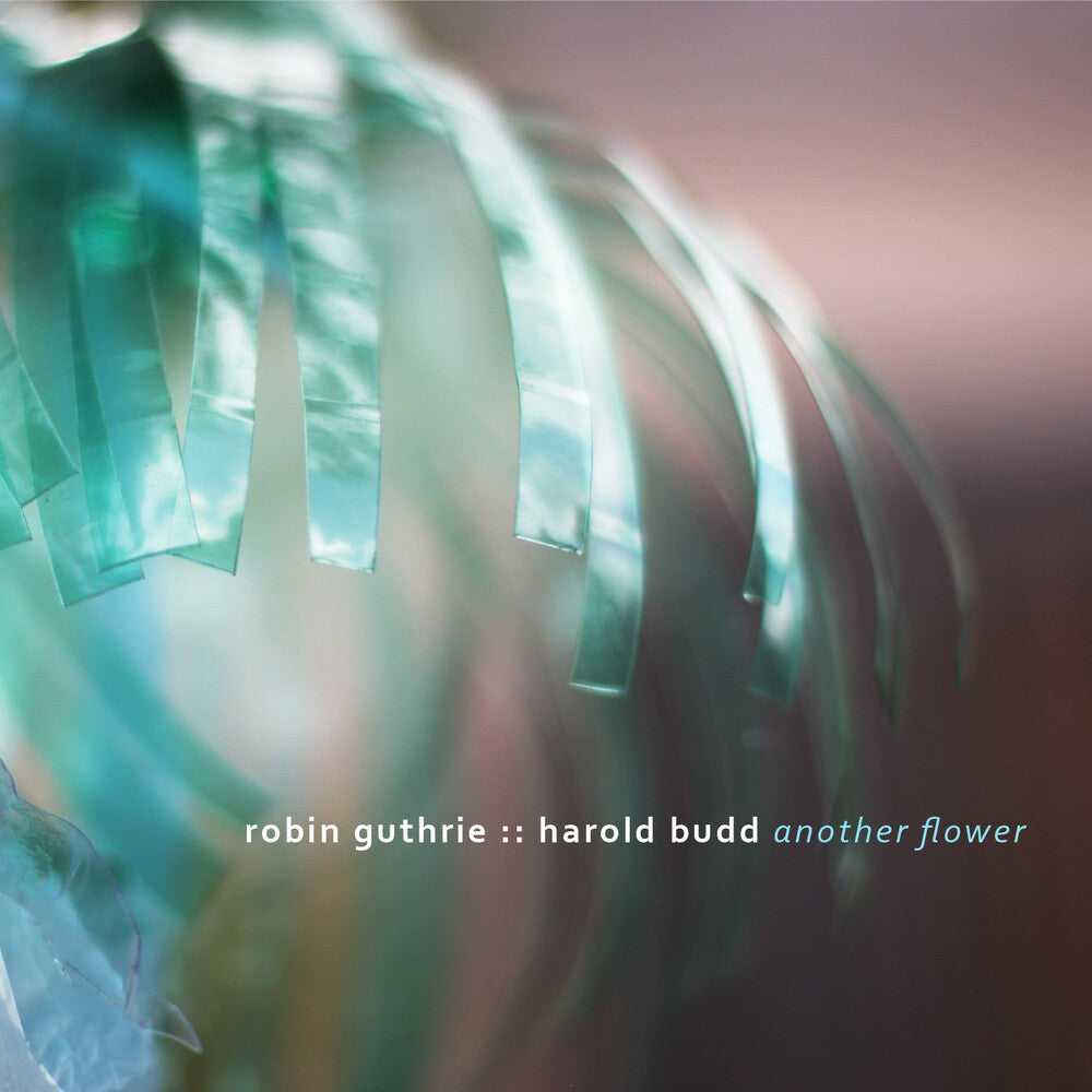 Another Flower [Digipak] Music CD