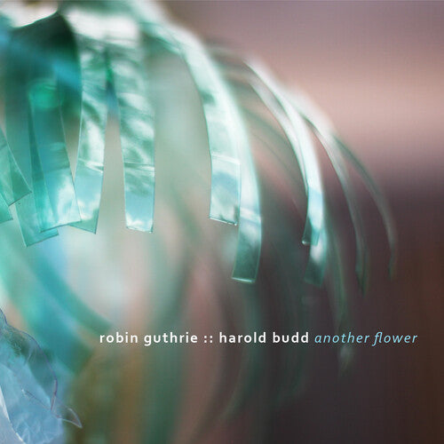 Guthrie,robin / Budd,harold - Another Flower - Music CD