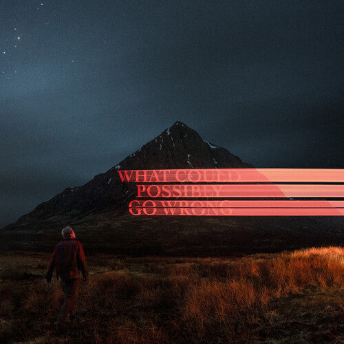 Dominic Fike - What Could Possibly Go Wrong Vinyl Record