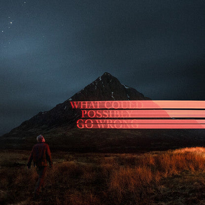 Dominic Fike - What Could Possibly Go Wrong Vinyl Record