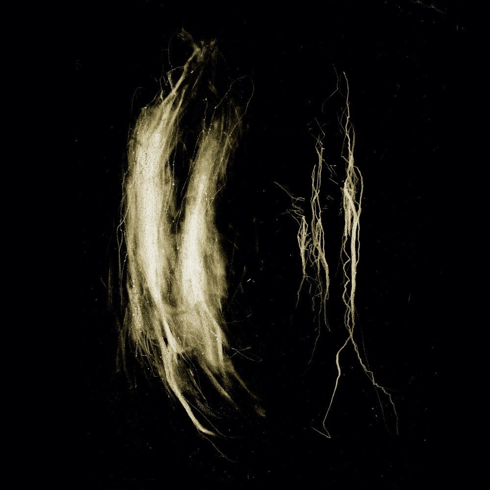 Plague Notes [LP] Vinyl Record