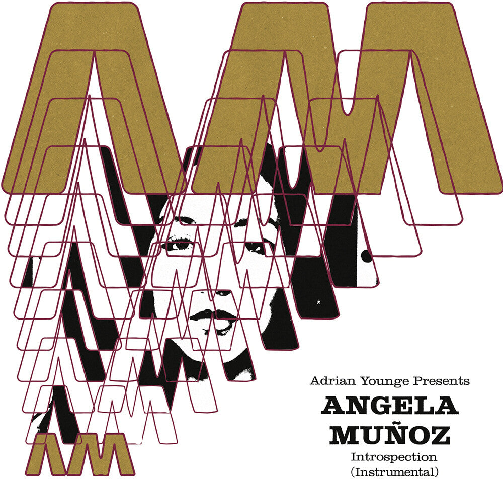 Introspection (Instrumentals) [LP] Vinyl Record