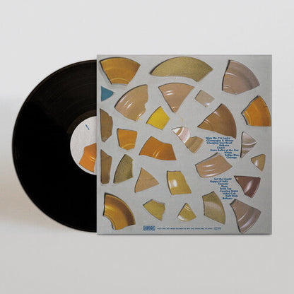 The Clean - Unknown Country Vinyl Record